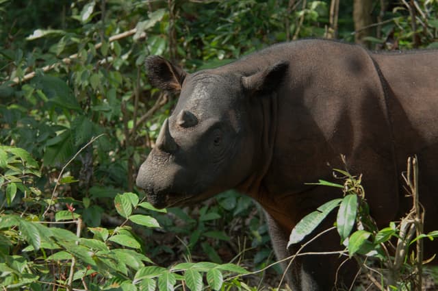Gallery 4