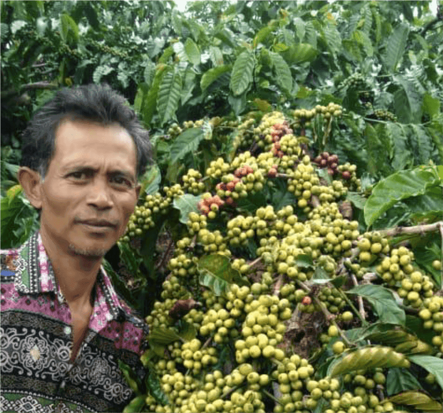 Tarjan, a coffee farmer at the edge of park area